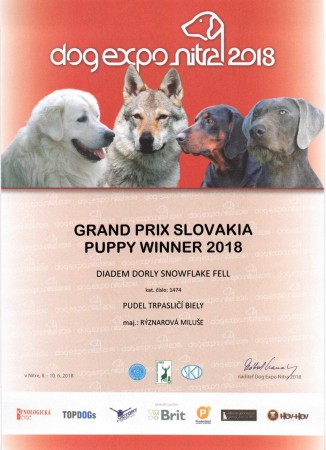 Grand Prix Slovakia Puppy Winner 2018